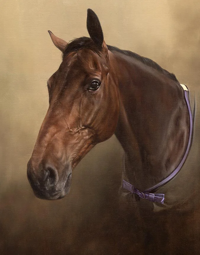 Ballycastle King, retired racehorse portrait by Nicholas Beall