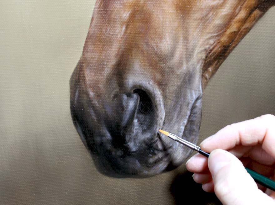 Race horse portraits