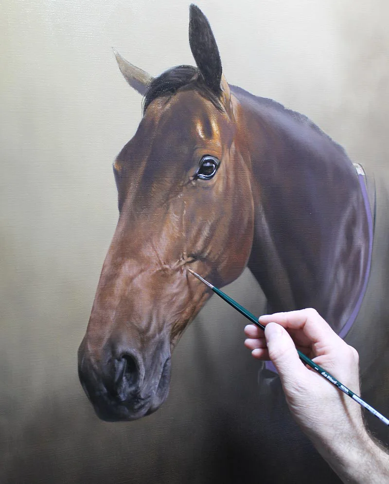 Oil Painting Development - Retired Race Horse, progressing details Development of the oil painting for the retired racehorse, with more defined features
