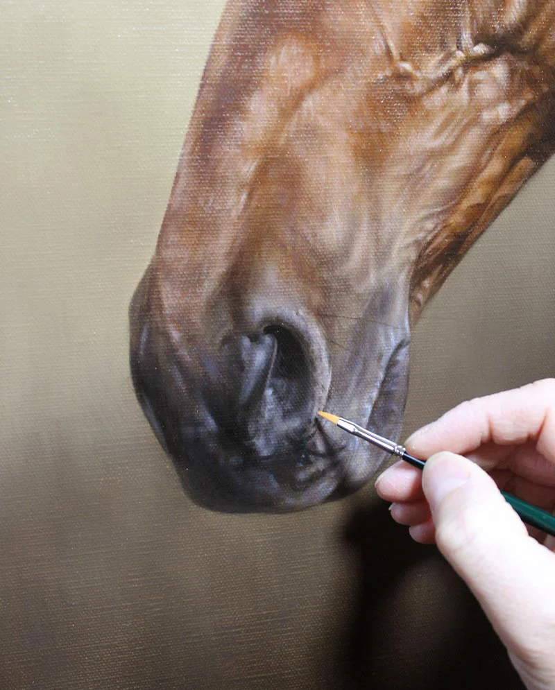 Final Stages - Retired Race Horse Portrait, near completion Final stages of the retired racehorse portrait, with fine details being added