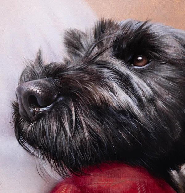 Oil Pet Portraits