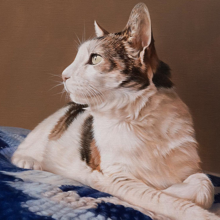 Cat Oil Pet Portraits