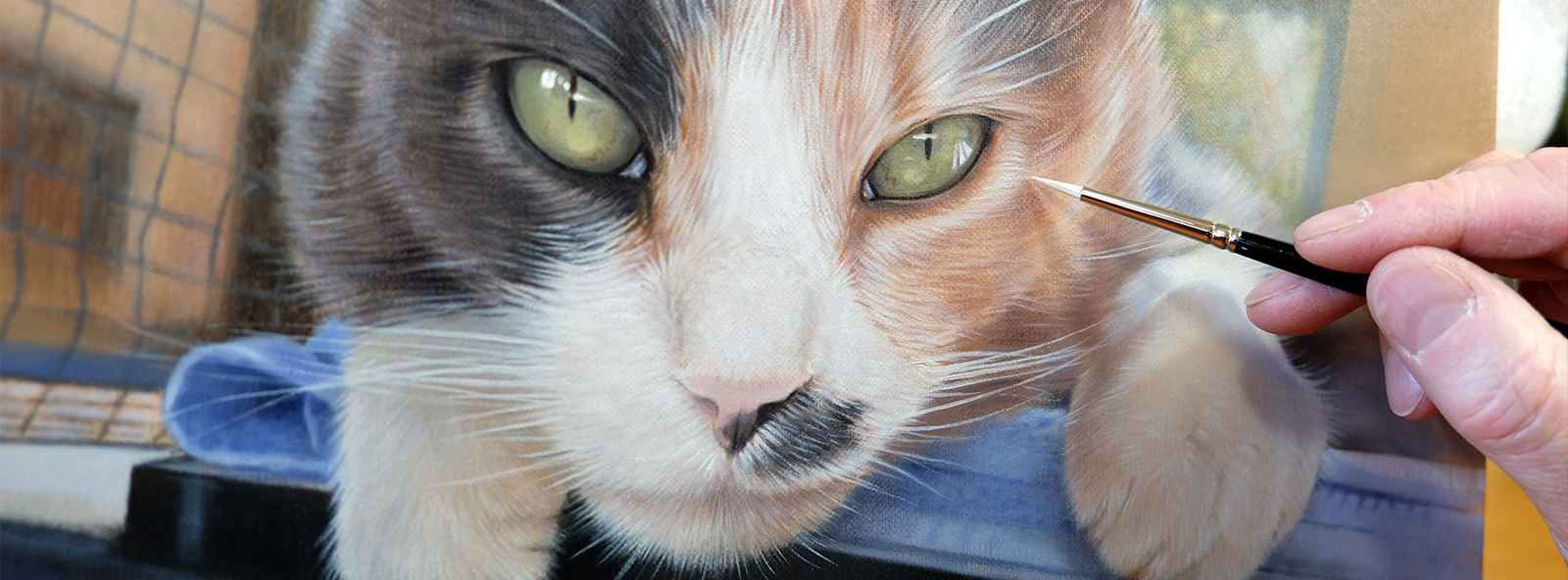 Cat Portraits