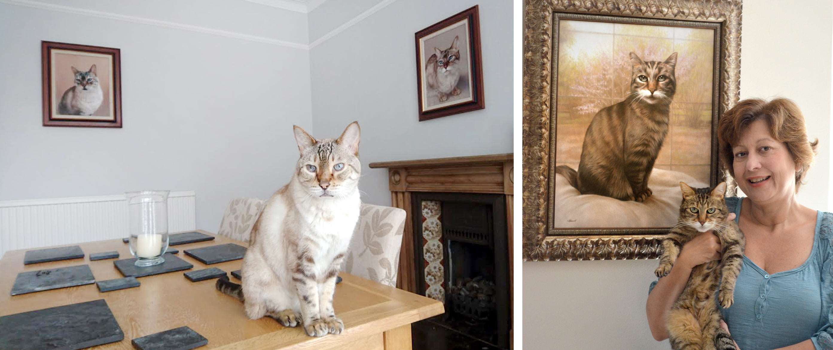 Commission Cat Portraits