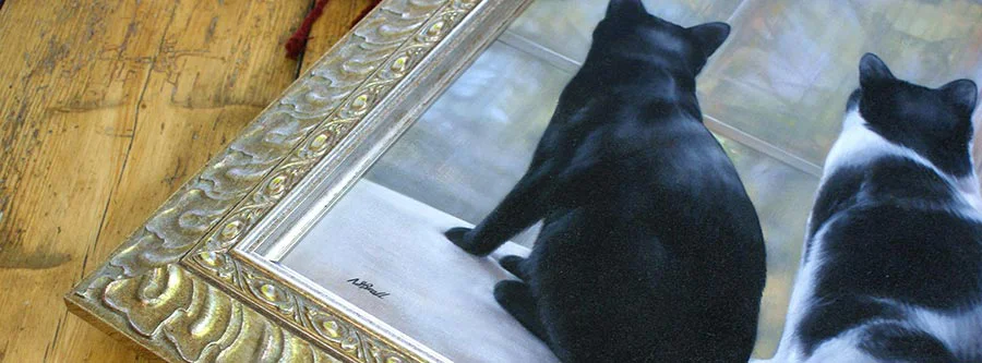 Further examples of framed cat portraits in oils by Nicholas Beall, highlighting various feline subjects.