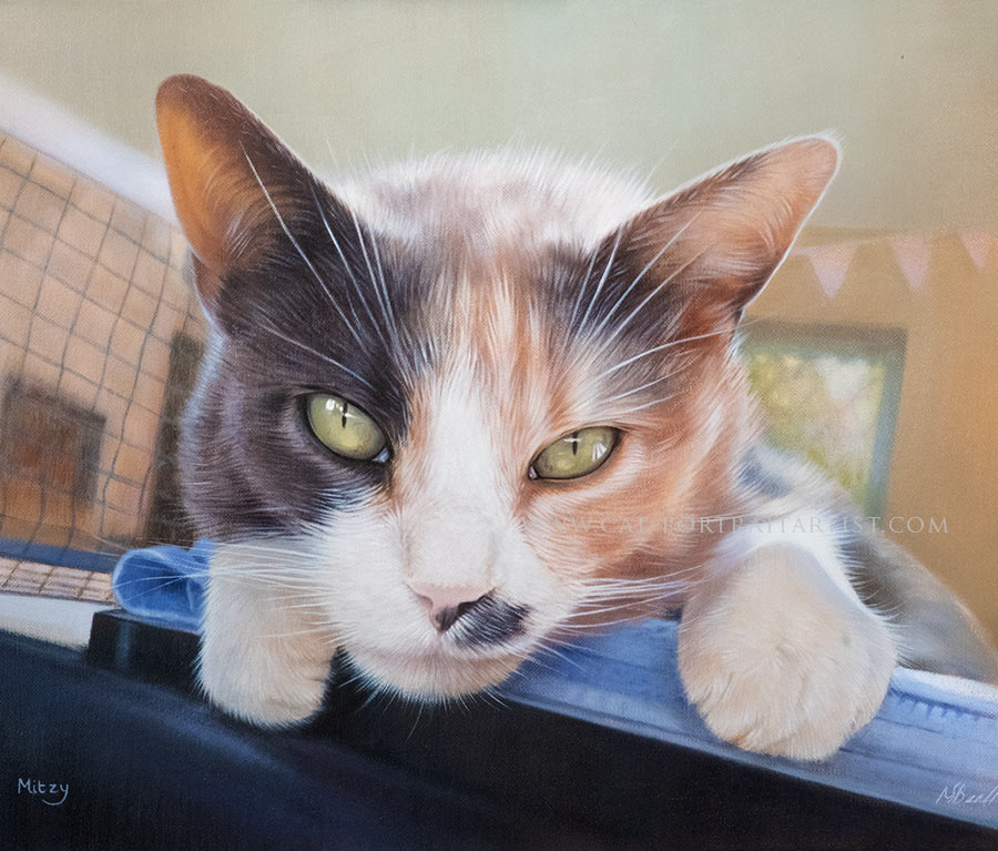 Cat Oil Gallery