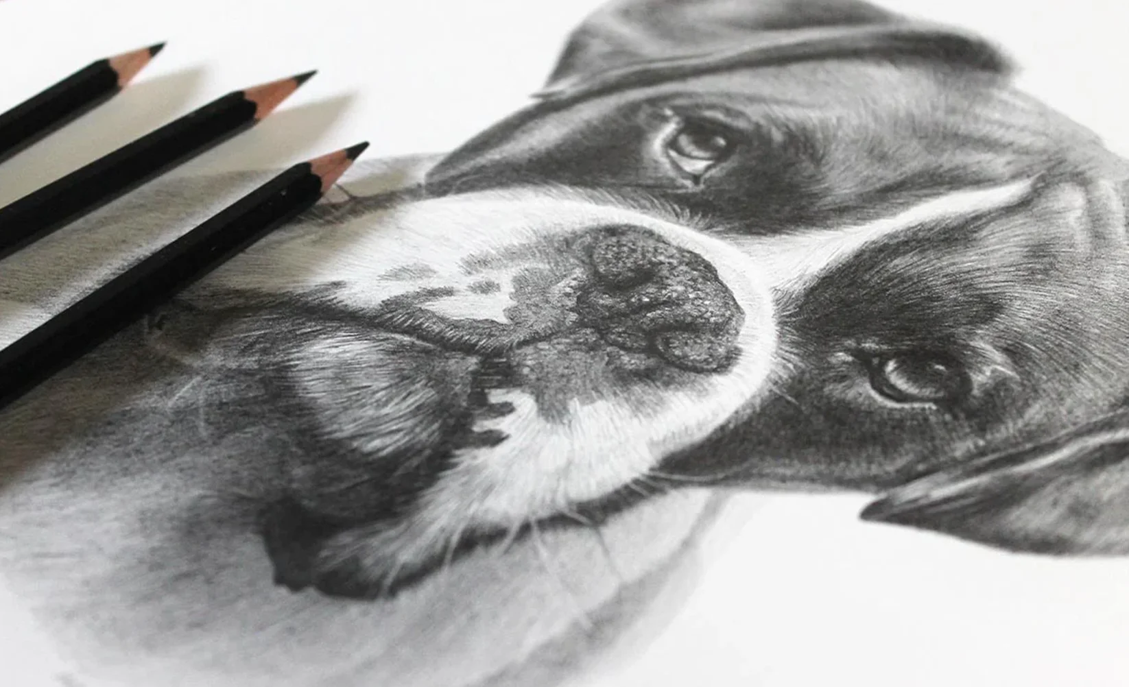 Classic Pencil Drawing by Melanie Phillips