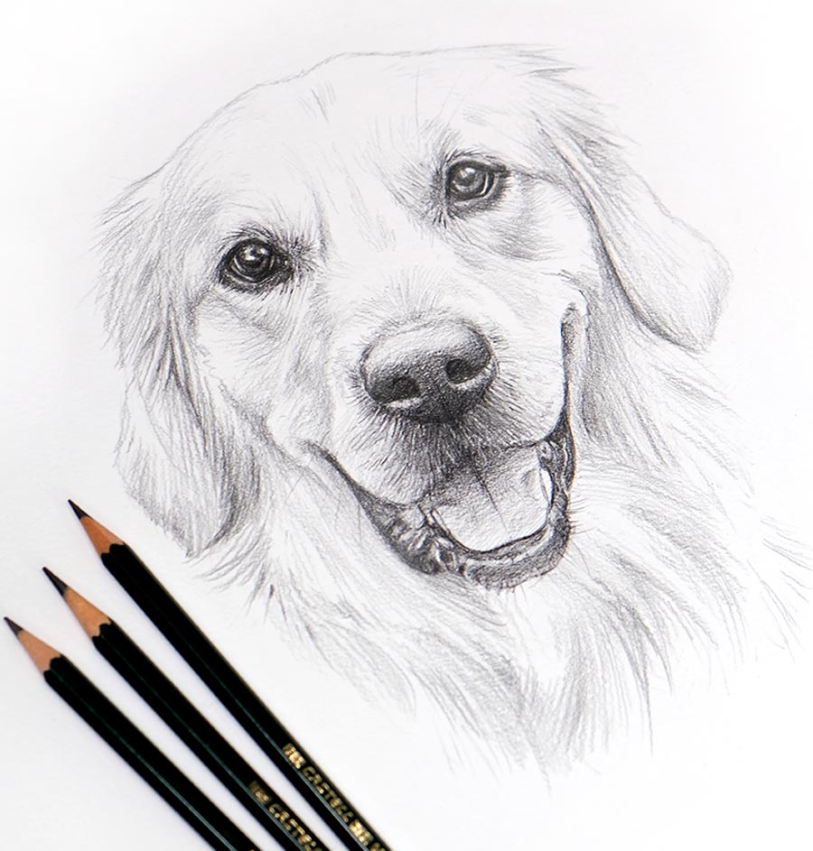 Classic Sketch Gallery