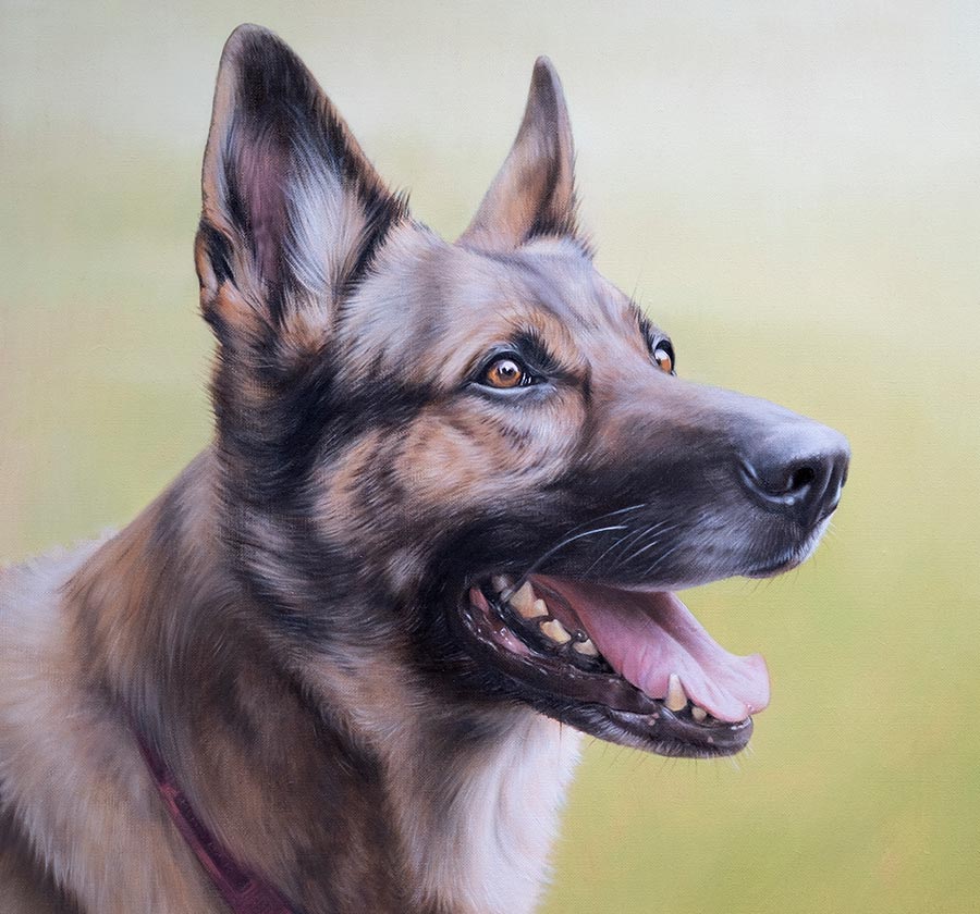 Dog Portraits in Oil