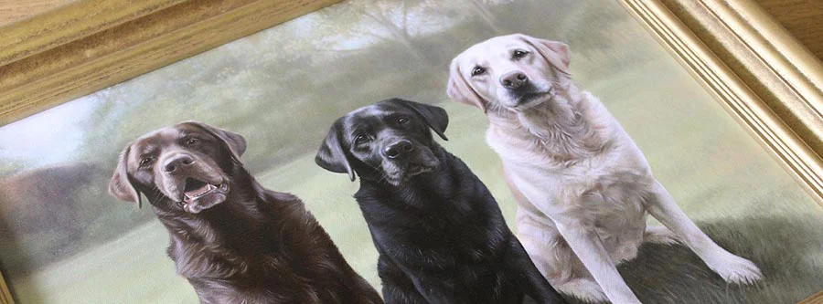 Framed dog oil portrait commissions by Nicholas Beall A beautiful array of oil portraits of various dog breeds, elegantly framed, by Nicholas Beall.