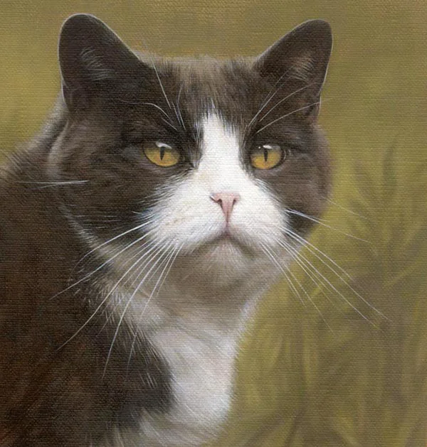 Cat Portrait Gallery