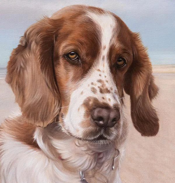Dog Portrait Gallery