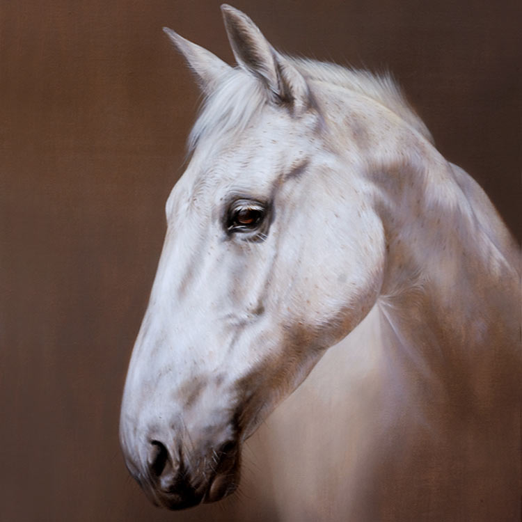 Horse Oil Pet Portraits