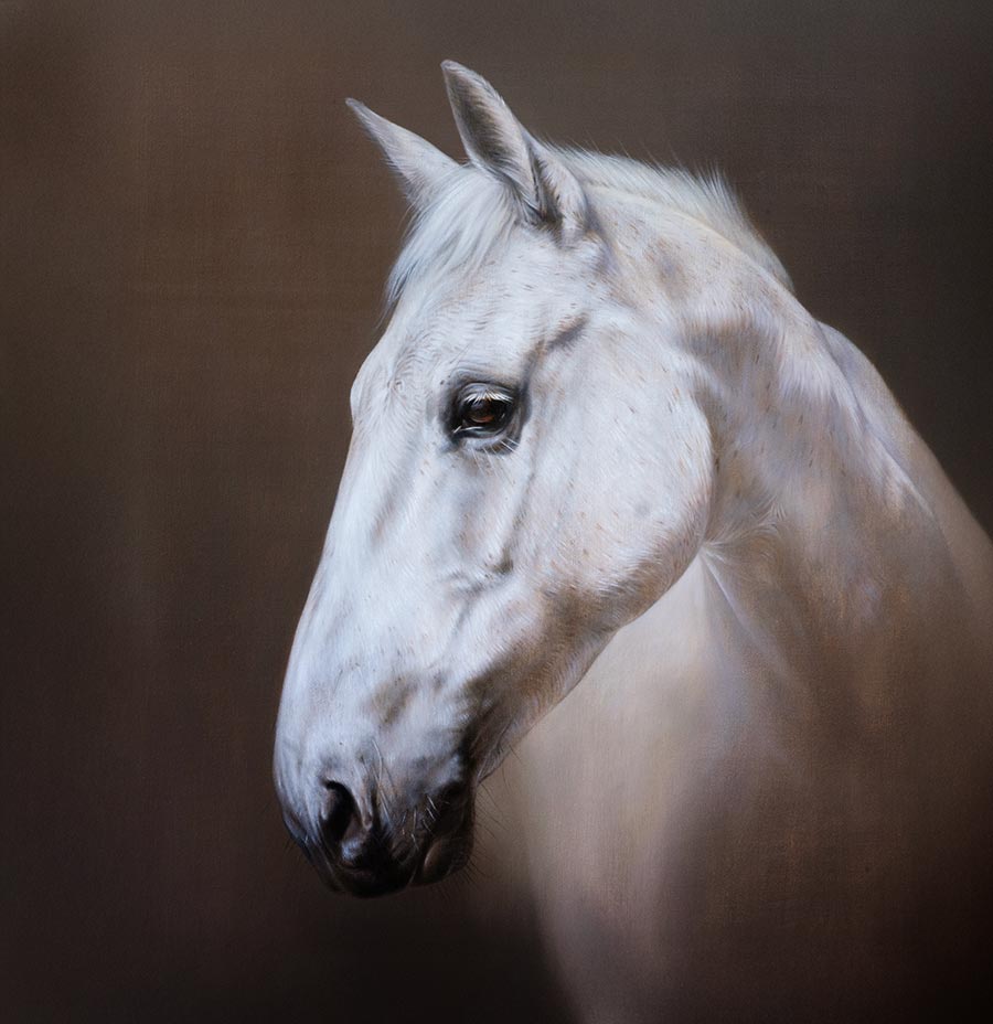 Horse Oil Pet Portraits