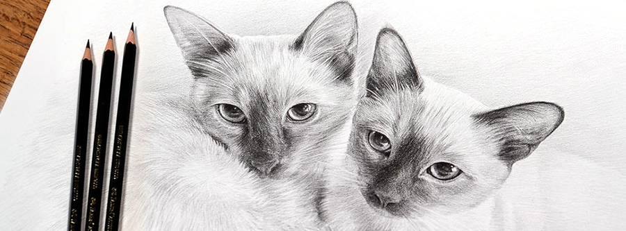Pencil drawing for returning client in the UK by Melanie Phillips