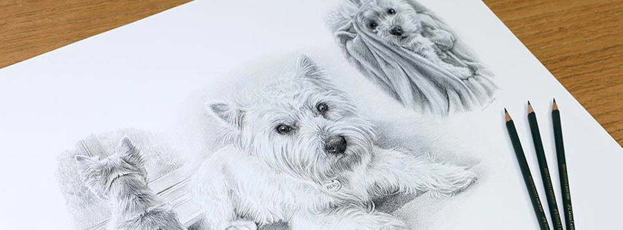 Life Story Portrait of Rory in pencil for a cleint in the UK