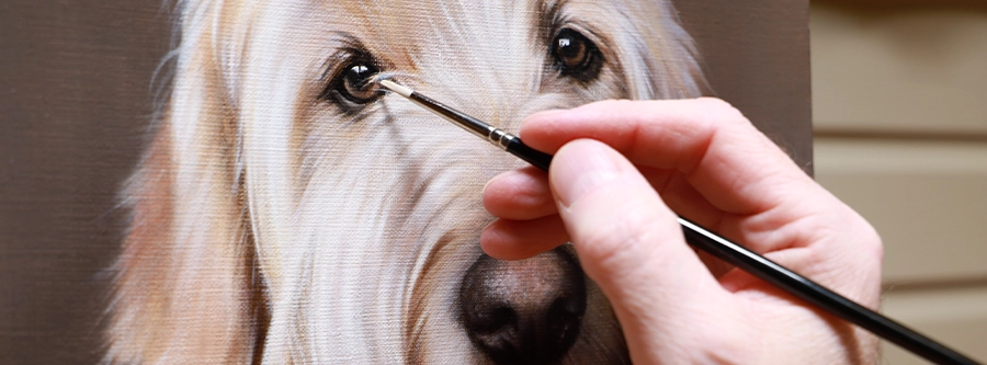 Help for cleints to understand pricing for pet portraits