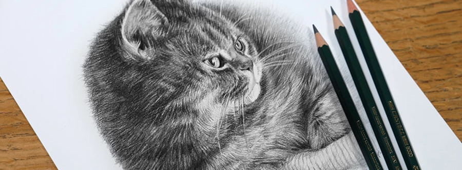 12 x 10 graphite pencil portrait for a client in Cyprus