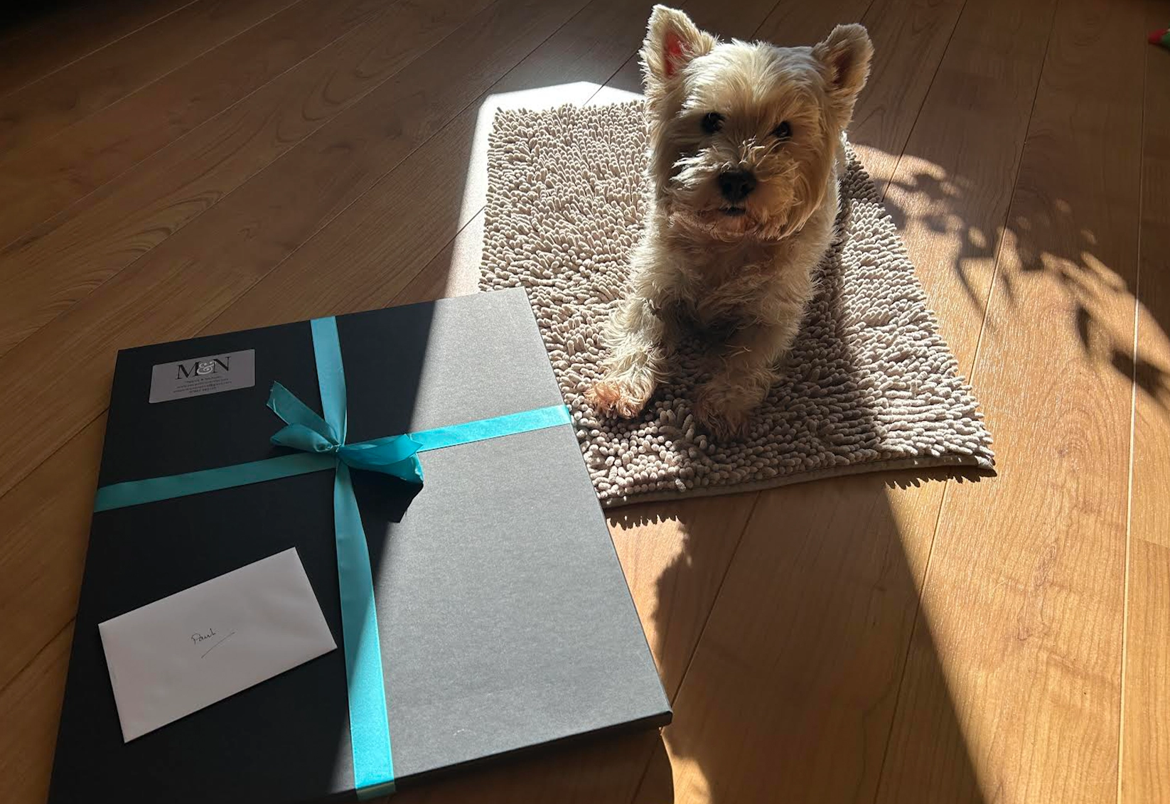 Rory is waiting to see what the postie bought him!