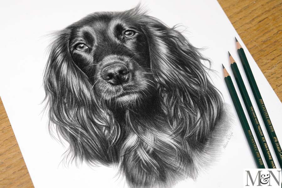 Pencil Drawing Gallery