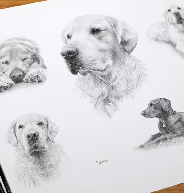 Life Story Pencil Pet Portraits