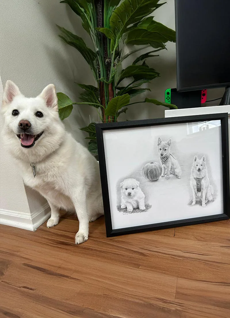 What makes Life Story Portraits different - multi-pose vs single pose Comparison showing single pose vs Life Story multi-pose pet portrait compositions