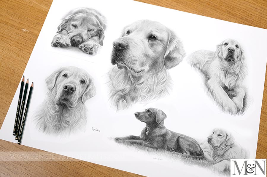 Detailed Montage Portrait