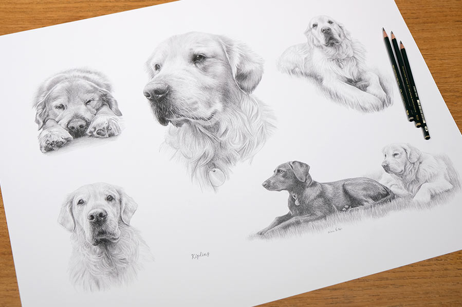 Pencil sketches by Melanie.