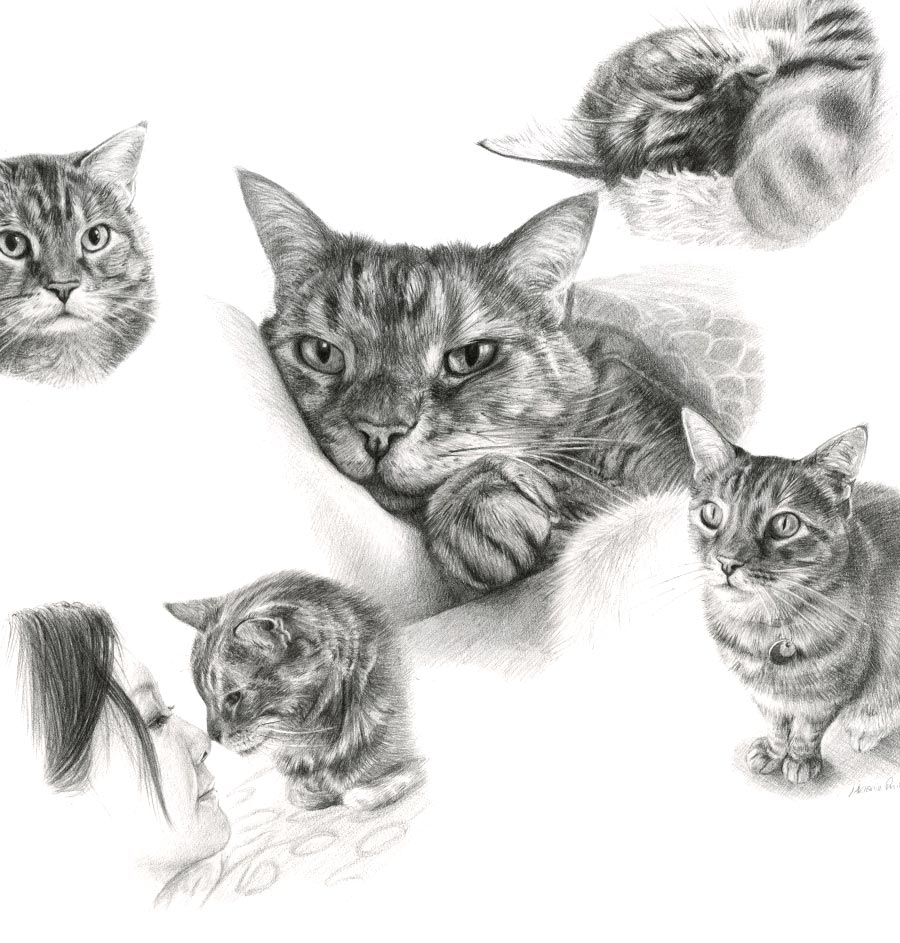 Montage Pencil Portrait Gallery