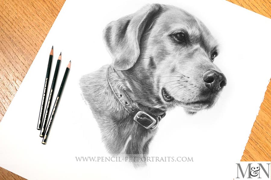 Detailed Drawing Portrait
