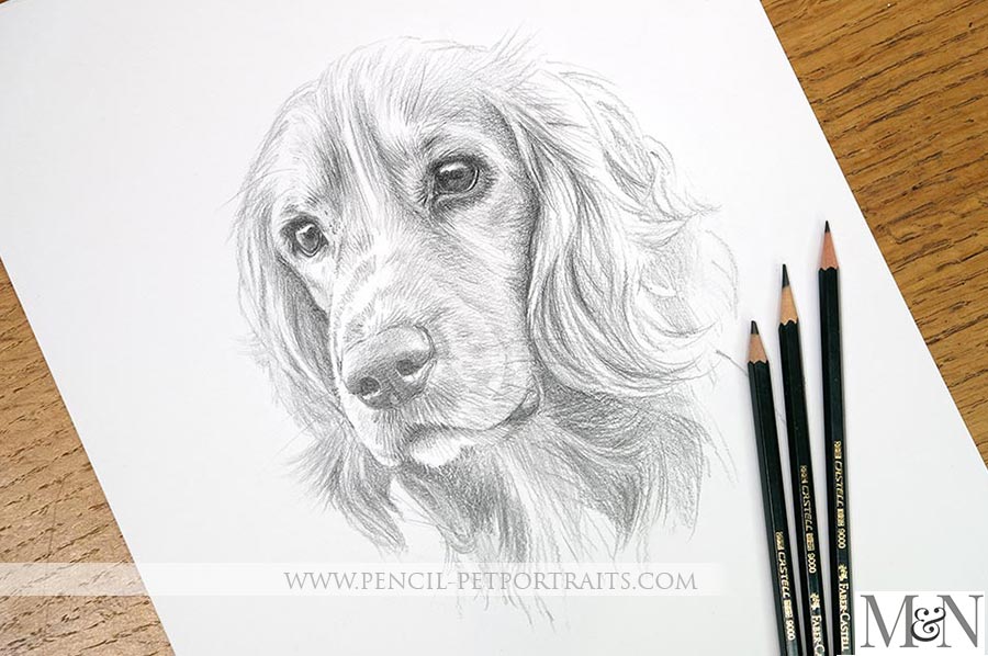 Classic Sketch Portrait
