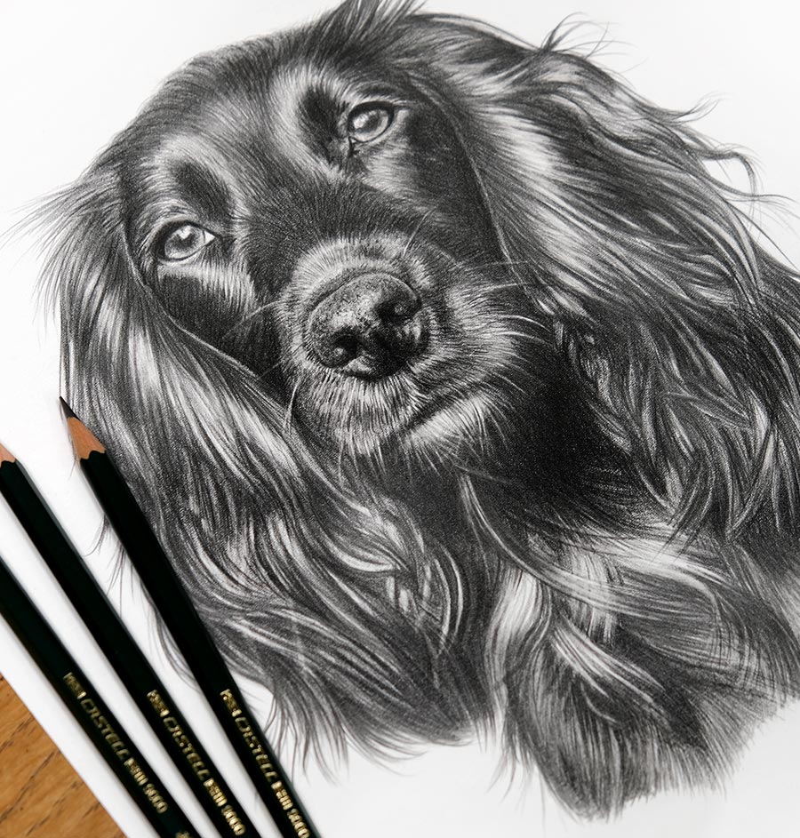 Detailed Pencil Portrait Gallery