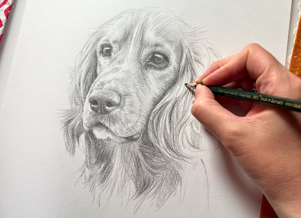 Pencil sketches by Melanie.