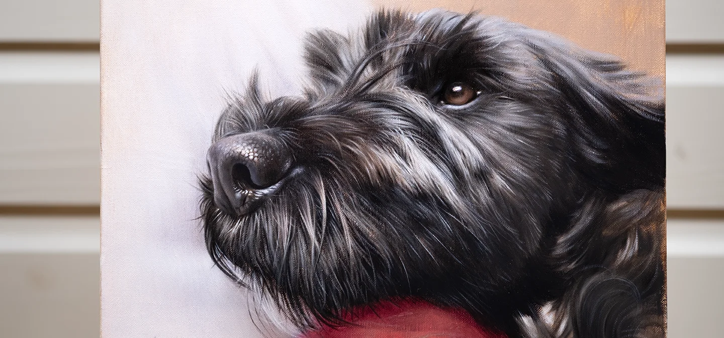 Pet portrait of a black dog