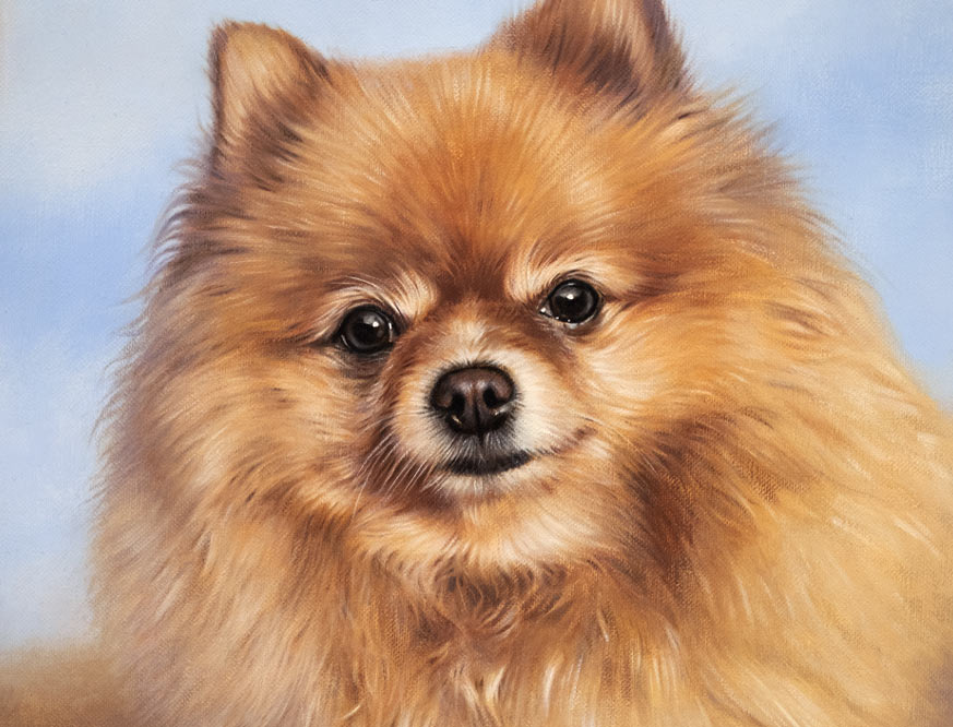 pet portrait artist