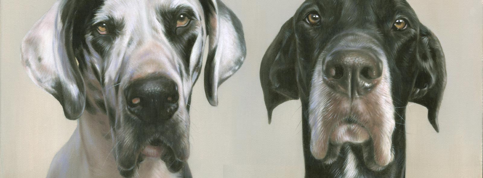 Pet Portraits Artists Paintings