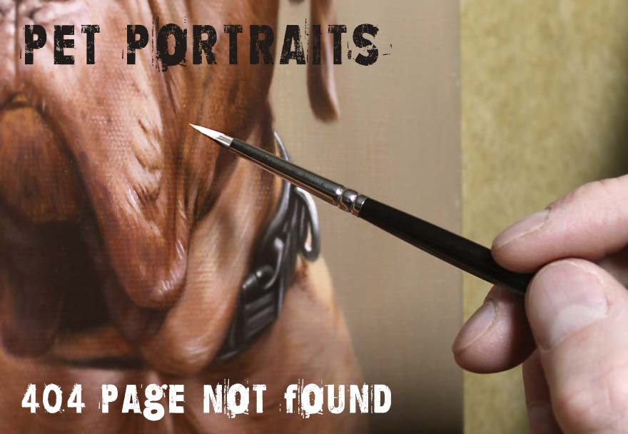 pet portraits 404