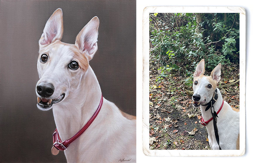 Pet Portraits Artwork Photo Comparison