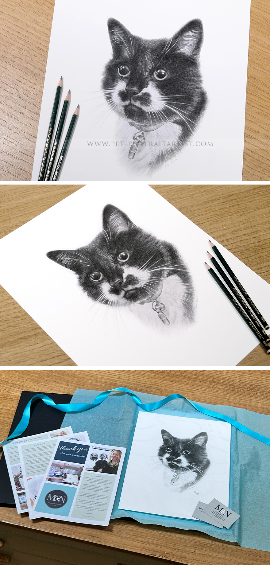 Latest Pet Portraits