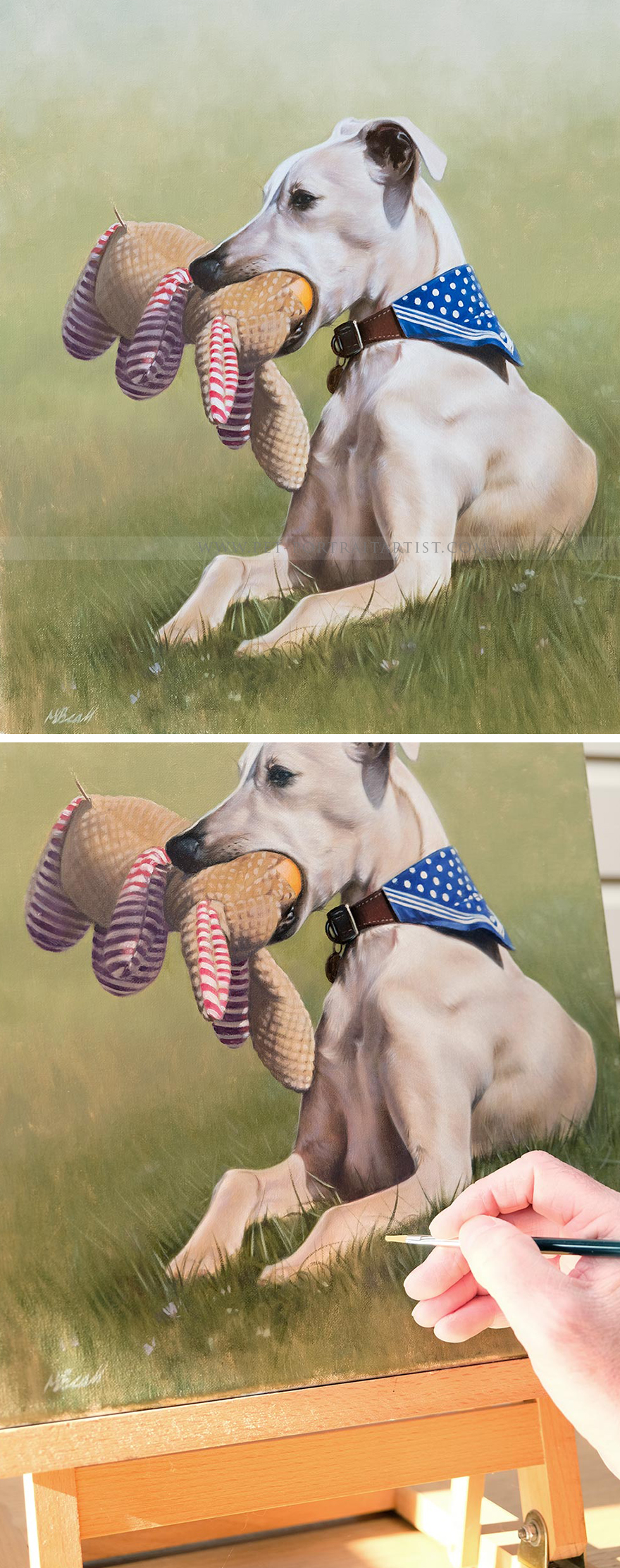 Latest Pet Portraits