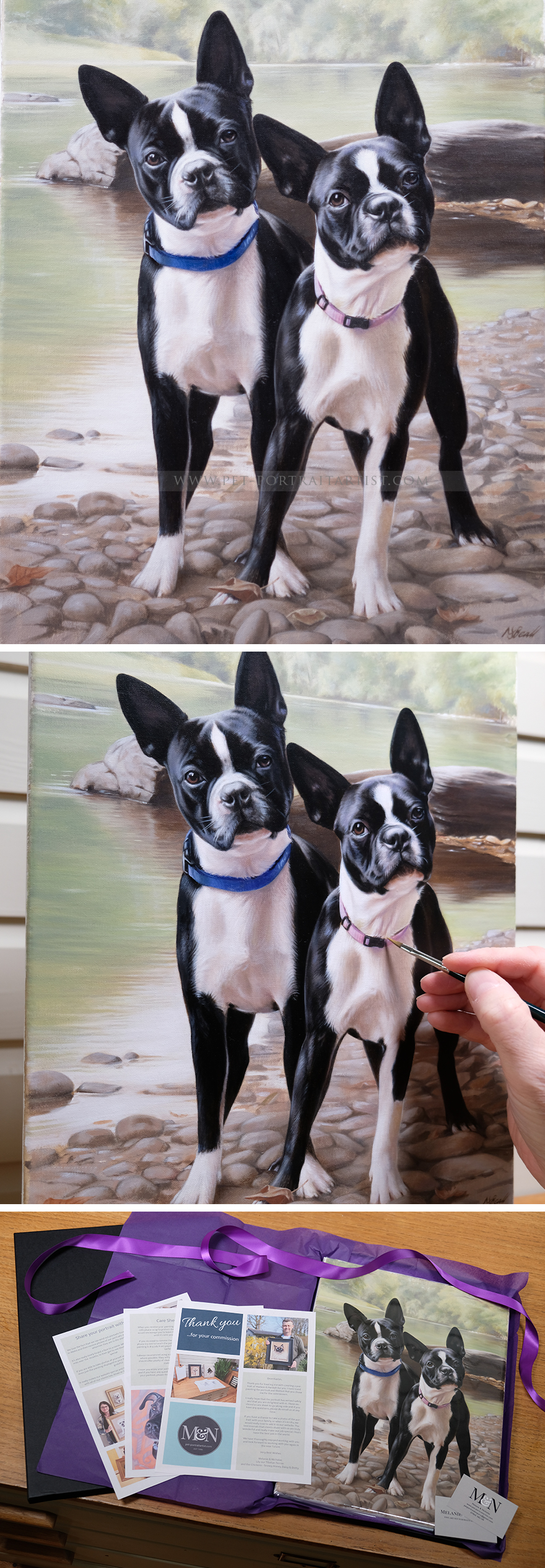 Latest Pet Portraits