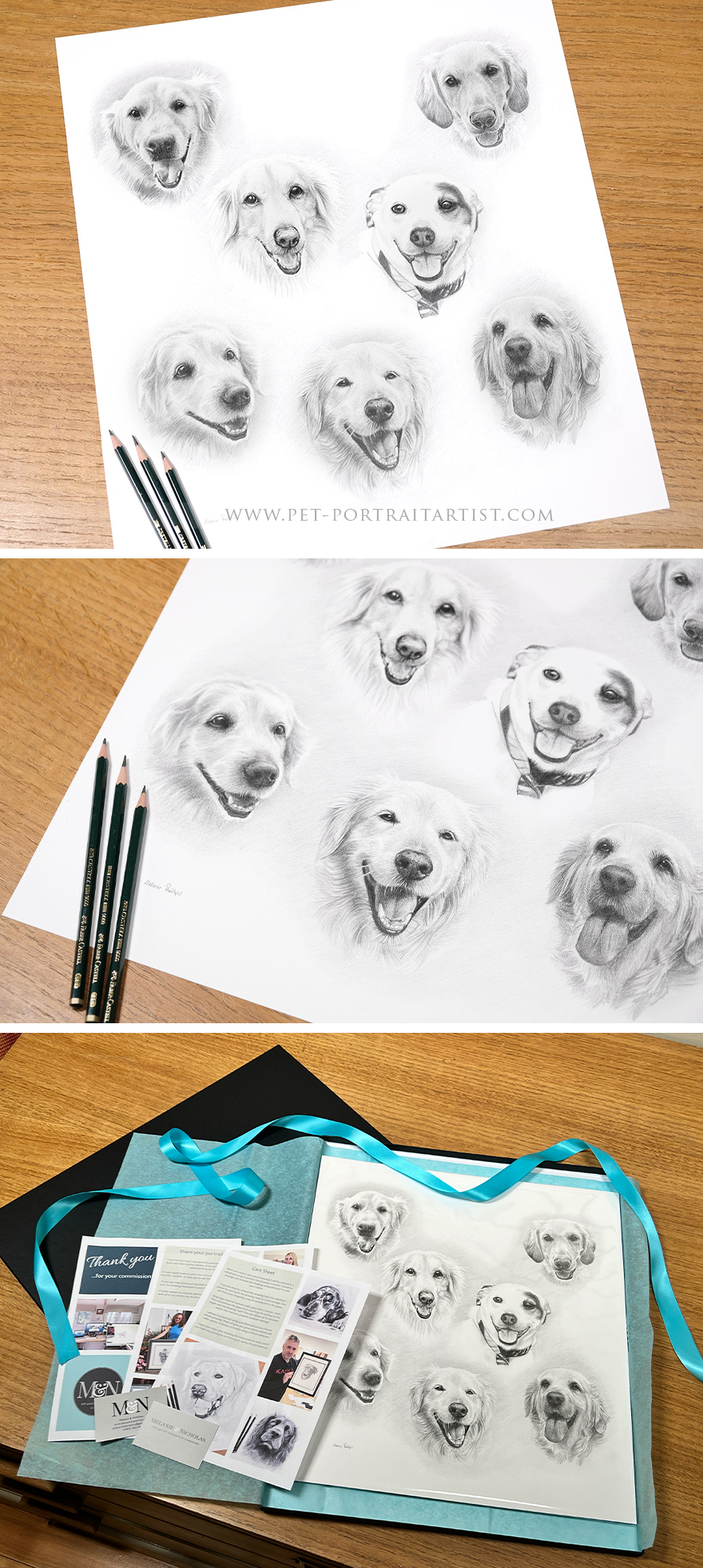 Latest Pet Portraits