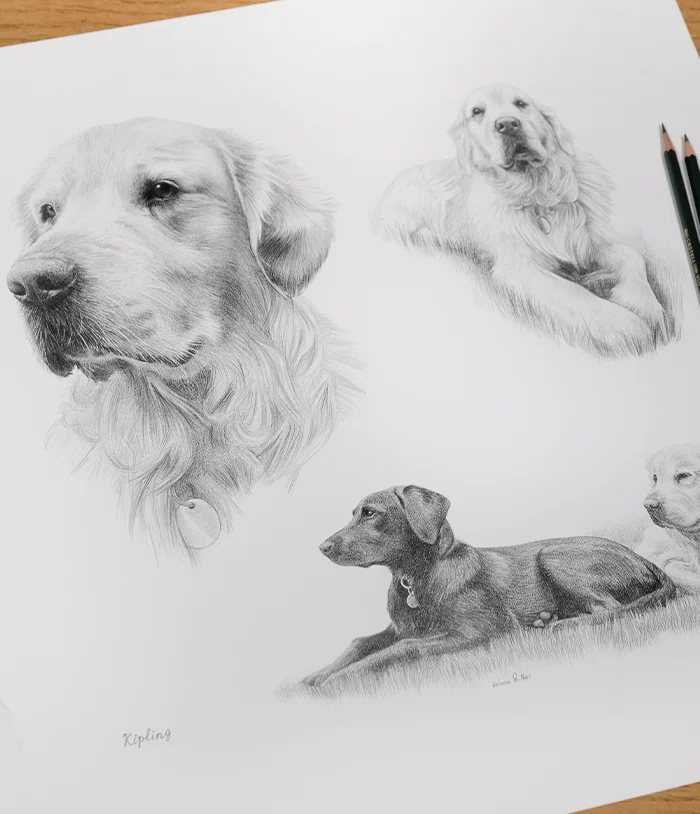 Life Story portrait creation process Process of creating Life Story pet portraits showing design and planning stages