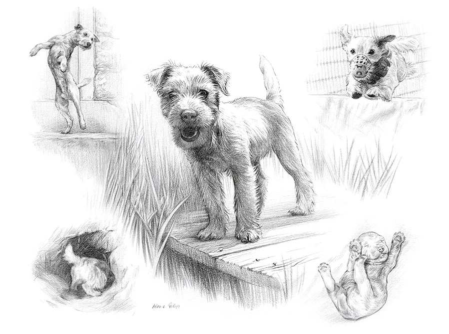 Holden - A spirited Jack Russell's adventure in art Holden's spirited Life Story drawing capturing this lively Jack Russell's playful nature