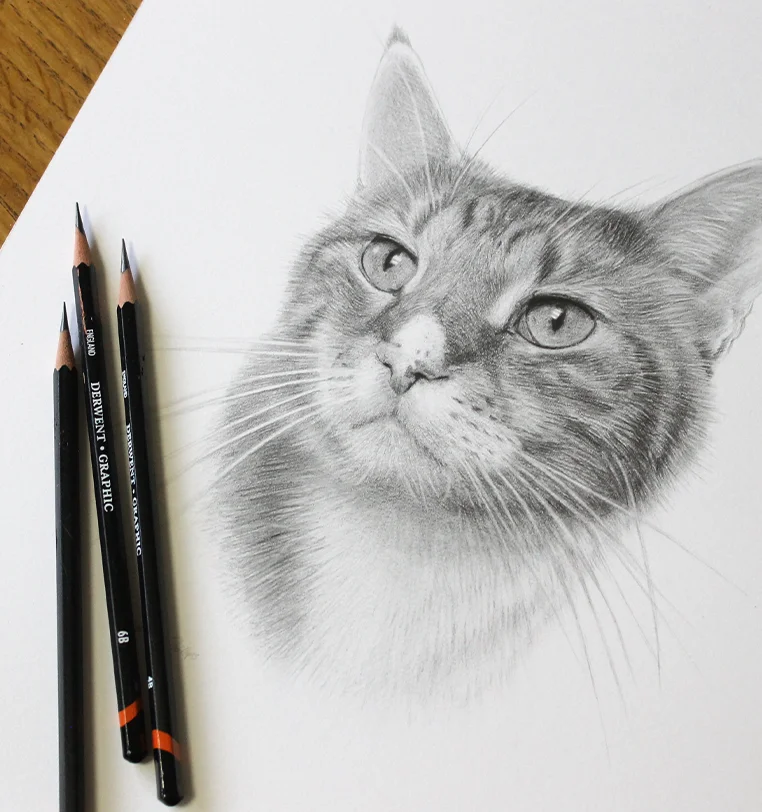 Memorial Cat Portraits - Unique tribute drawing by Melanie Phillips Memorial cat portrait in pencil, loving tribute by Melanie Phillips
