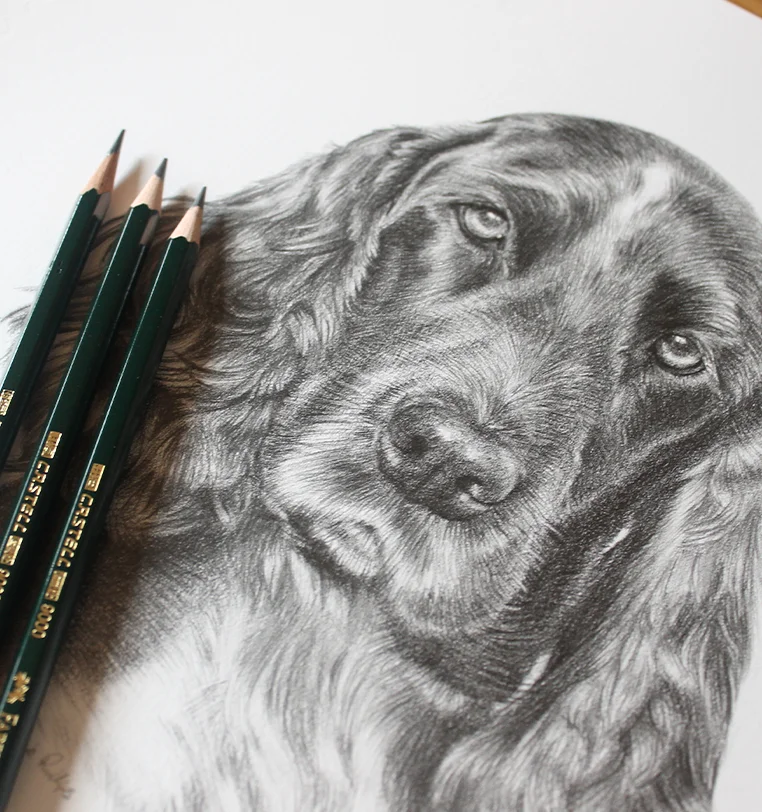 Memorial Cat Portrait - Personality captured in pencil by Melanie Phillips Memorial cat portrait in pencil showing personality and character, by Melanie Phillips