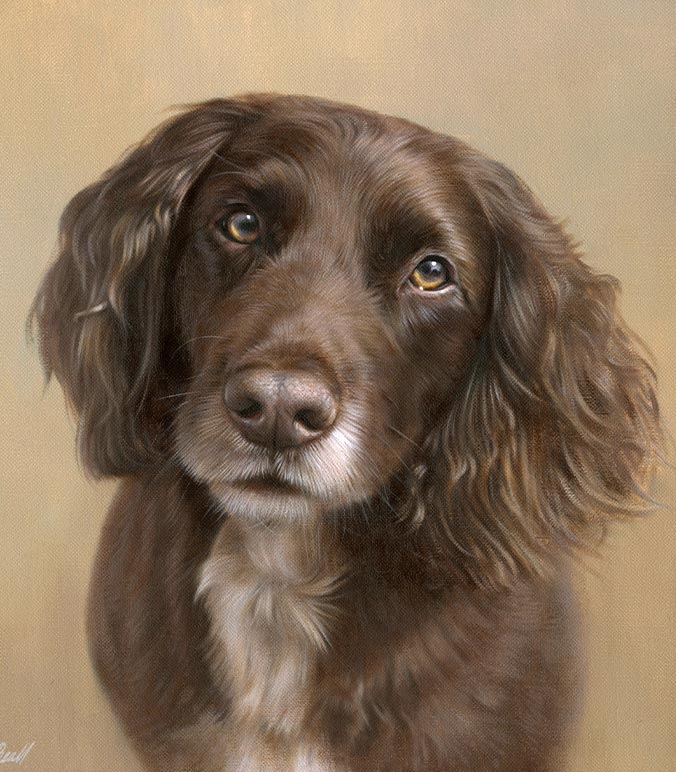Oil painting of a Spaniel