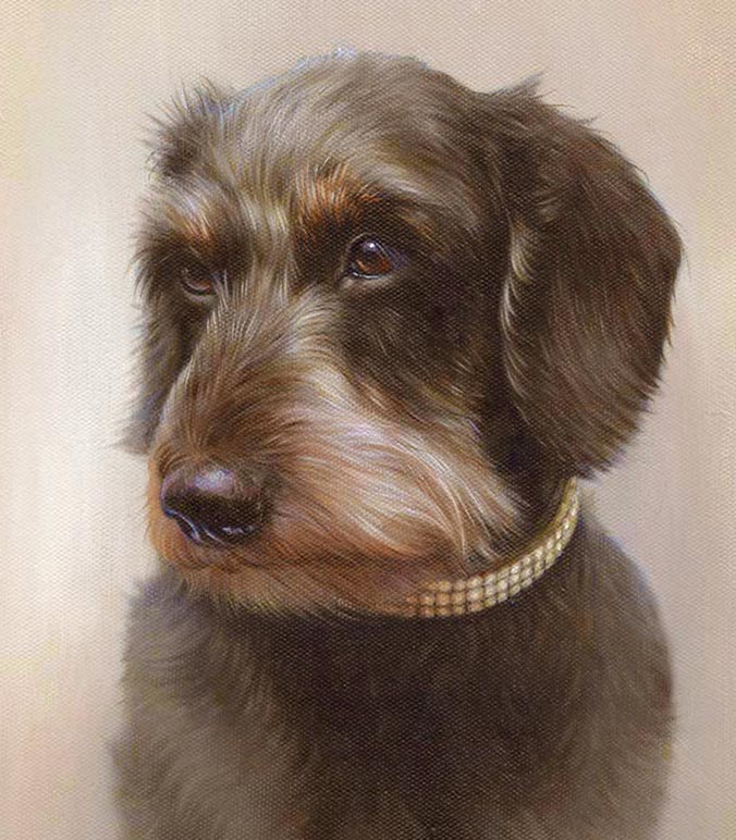 Oil painting of a Wire Haired Dachshund