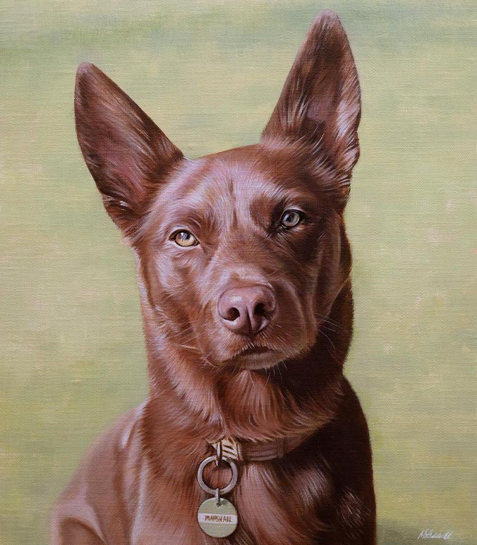 Oil painting of an Australian Dog