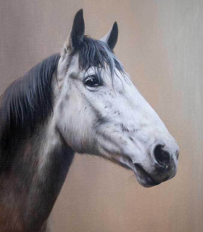 Oil painting of a Horse